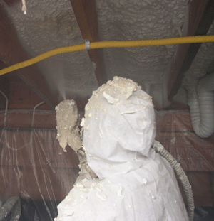 Hollywood FL crawl space insulation
